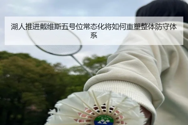 湖人推进戴维斯五号位常态化将如何重塑整体防守体系