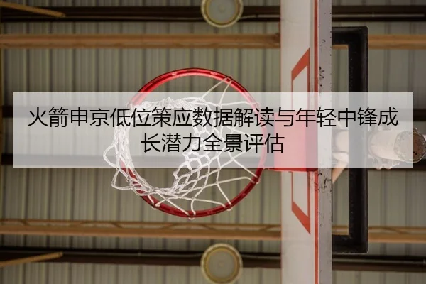 火箭申京低位策应数据解读与年轻中锋成长潜力全景评估