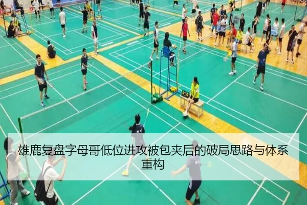 雄鹿复盘字母哥低位进攻被包夹后的破局思路与体系重构